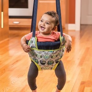 Evenflo exersaucer door jumper.  Cute owl pattern.